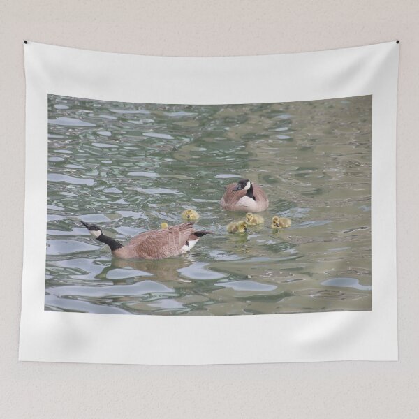 Item preview, Branta canadensis VII designed and sold by zumi.