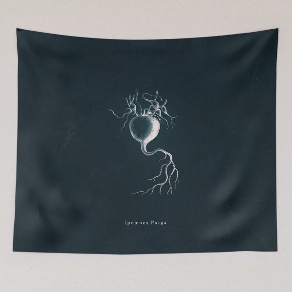 Item preview, Cyanotype - Ipomoea Purga designed and sold by PixelHunter.
