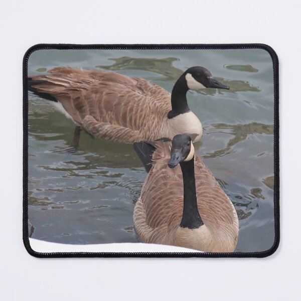 Item preview, Branta canadensis VIII designed and sold by zumi.