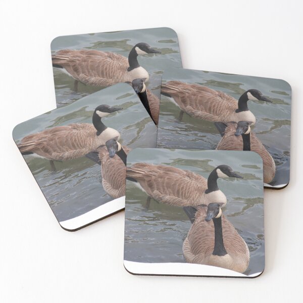 Item preview, Branta canadensis VIII designed and sold by zumi.