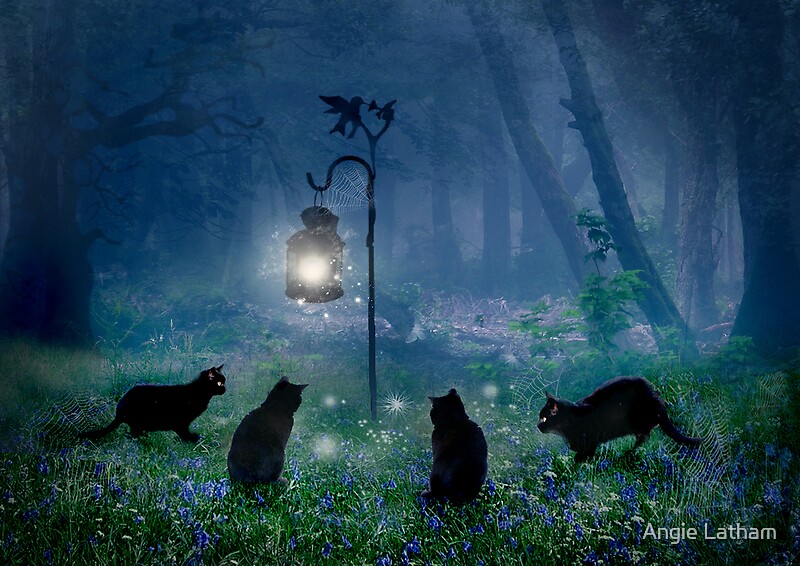 "The Witches Cats" by Angie Latham Redbubble