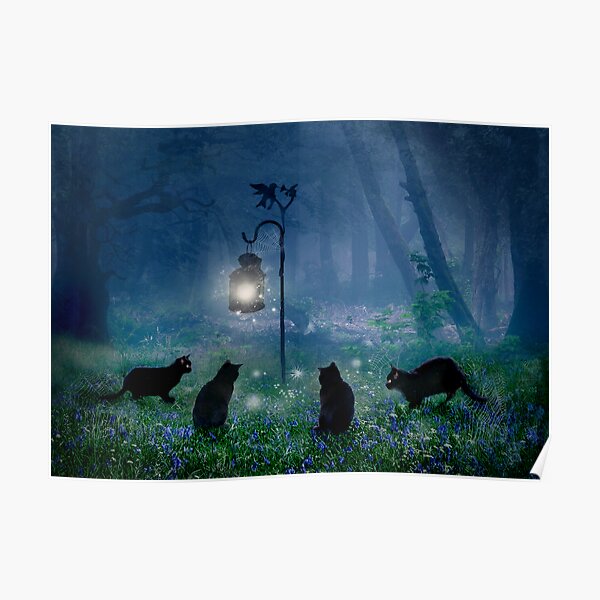 The Witches Cats Poster