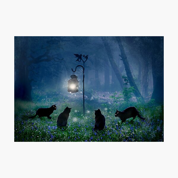 The Witches Cats Photographic Print