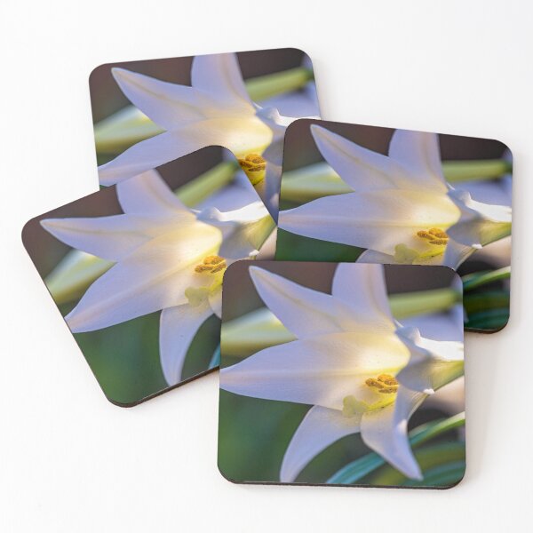 Item preview, The LIght Within designed and sold by Tracy Riddell.