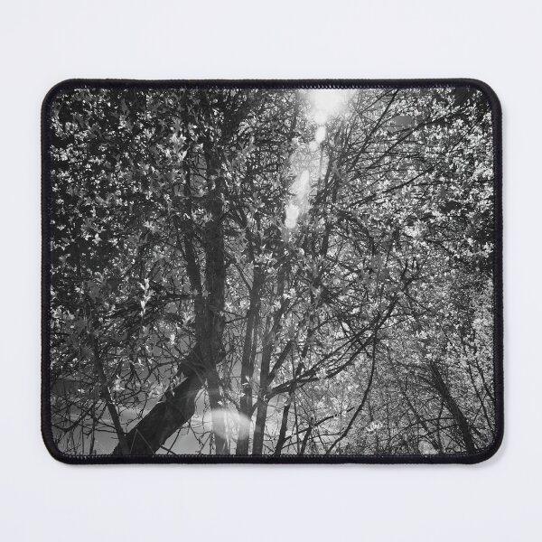 Item preview, The hot sun. Infrared photography bw designed and sold by Jouko Lehto Photography.