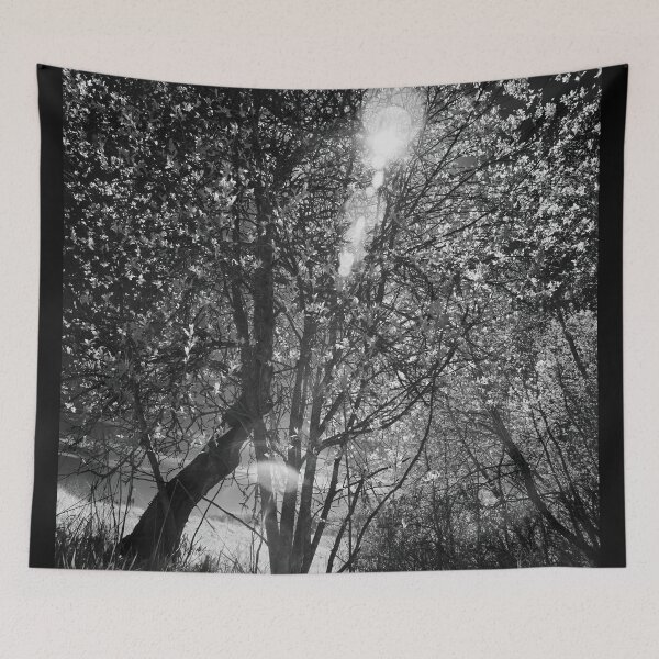 Item preview, The hot sun. Infrared photography bw designed and sold by Jouko Lehto Photography.