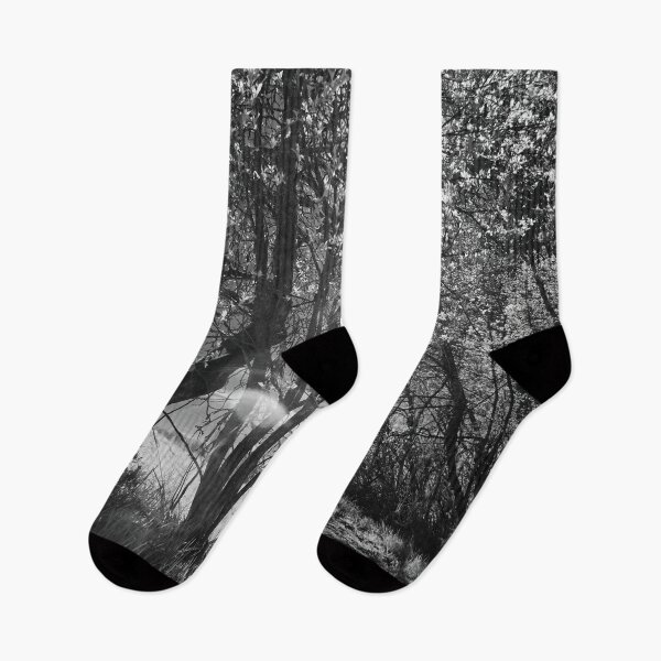 Item preview, The hot sun. Infrared photography bw designed and sold by Jouko Lehto Photography.