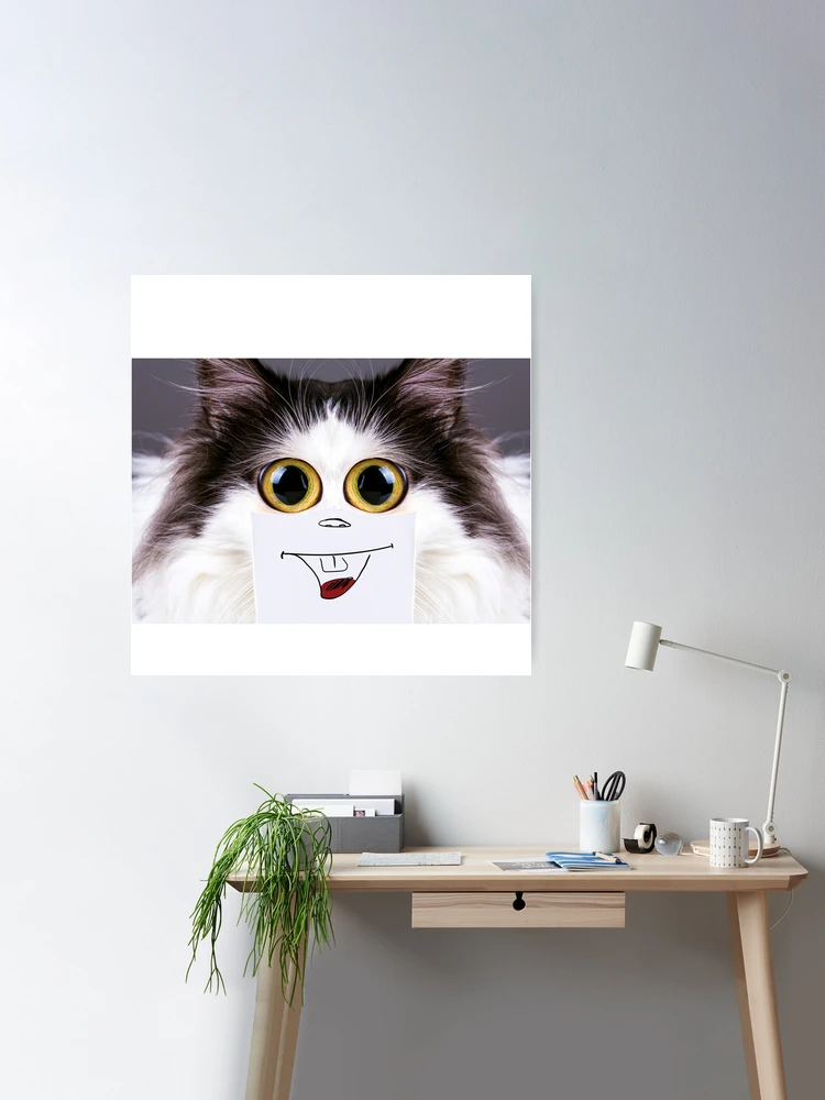 Cat Pfp Aesthetic Photographic Prints for Sale