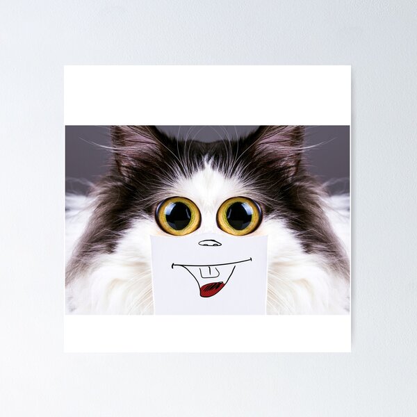 adorable cat kitten cute pfp idea aesthetic  Funny cat faces, Cute cats,  Funny cat jokes