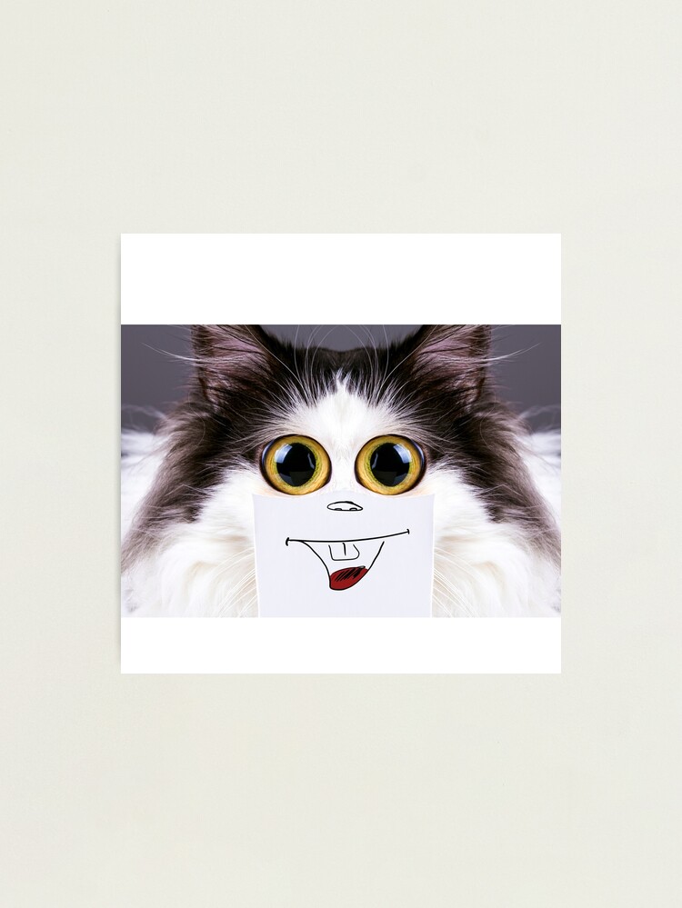 Cat Pfp , Funy cat Photographic Print for Sale by GaliaTati