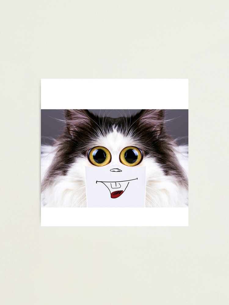 Cat Pfp Aesthetic Photographic Prints for Sale