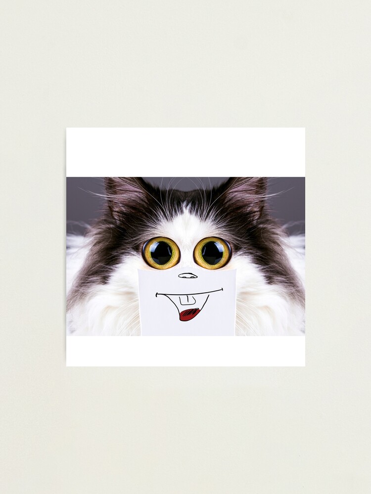 Cat PFP | Photographic Print