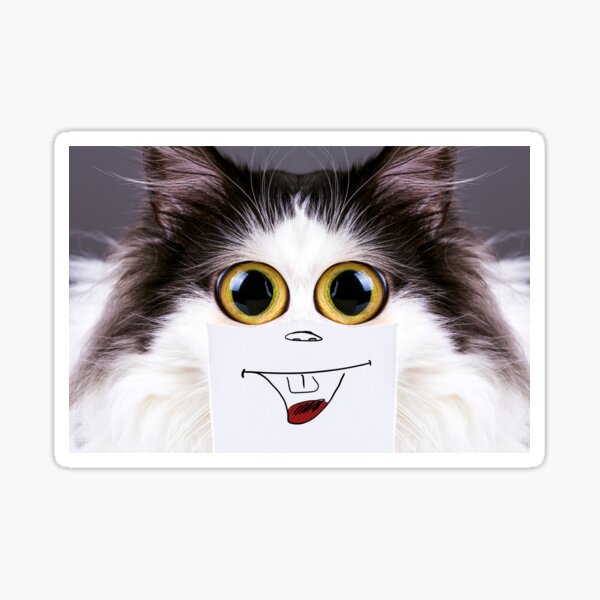 cat pfp , cat icon  Funny cute cats, Funny animal photos, Silly