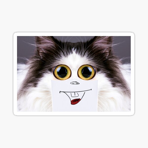 Funny Cat PFP - Roblox