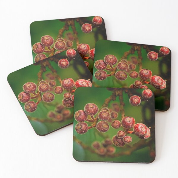 Item preview, Alien Spores designed and sold by Dead-Moroz.