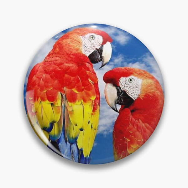 Item preview, parrot in color designed and sold by Marine_cre@tion •.