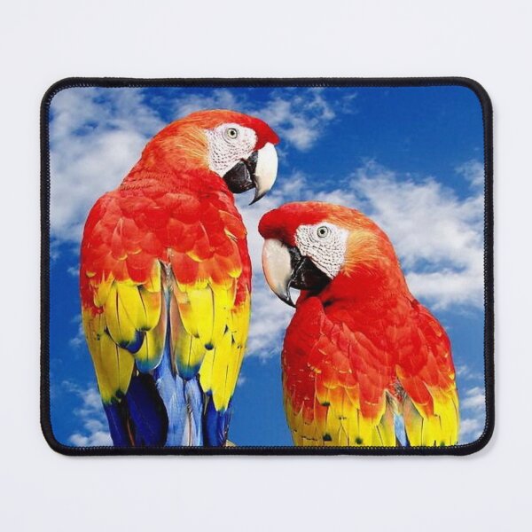 Item preview, parrot in color designed and sold by Marine_cre@tion •.