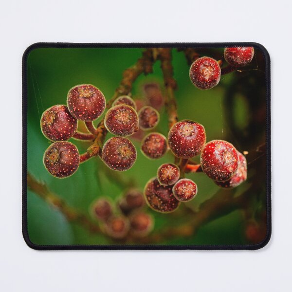 Item preview, Alien Spores designed and sold by Dead-Moroz.