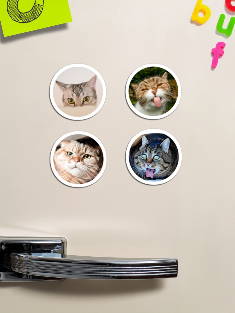 Copy of Cat Pfp , Funy cat Magnet for Sale by GaliaTati