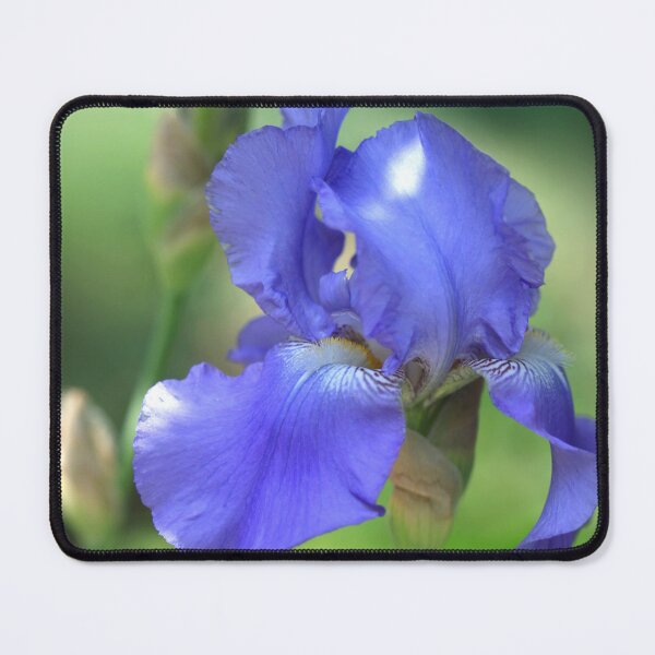 Item preview, Blue flower in spring garden designed and sold by olena2552.