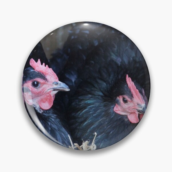 Item preview, Two Black Chooks at Magpie Springs by Avril Thomas designed and sold by MagpieSprings.