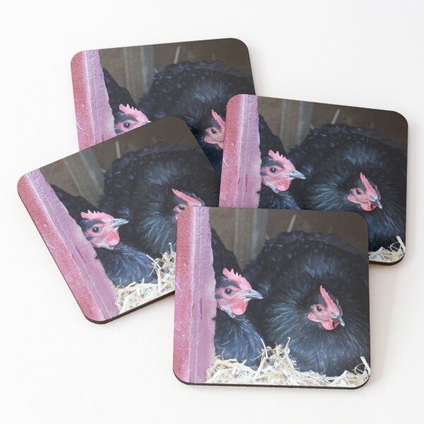 Item preview, Two Black Chooks at Magpie Springs by Avril Thomas designed and sold by MagpieSprings.