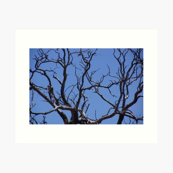 Item preview, Branching out in Blue by Avril Thomas  designed and sold by MagpieSprings.