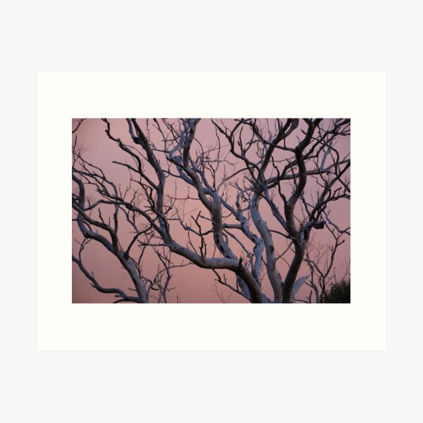 Item preview, Branching out in Pink at Magpie Springs by Avril Thomas designed and sold by MagpieSprings.