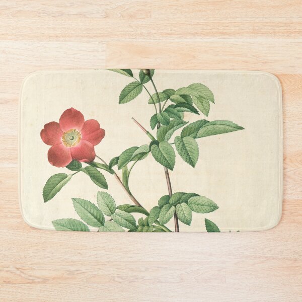 Item preview, Rosa Alpina Pendulina; Eglantier des Alpes designed and sold by linggalibrary.