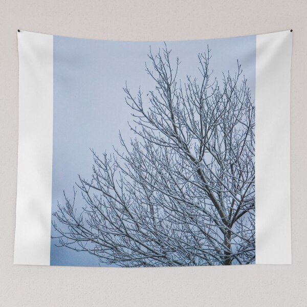 Item preview, Frozen Nature  designed and sold by mhodgesphotos.