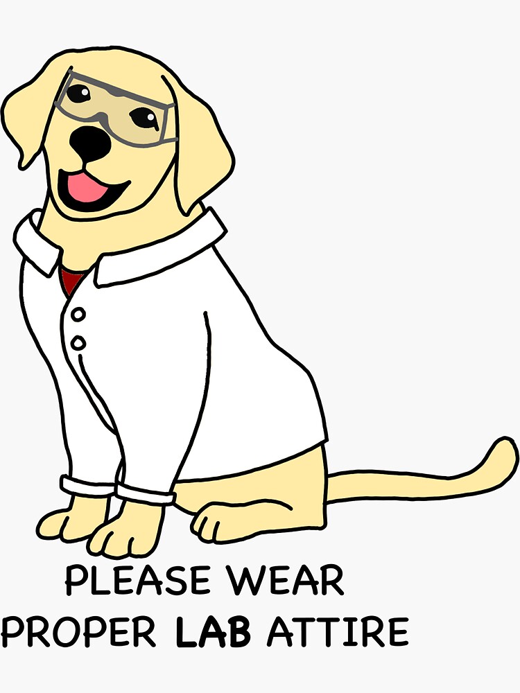 "Please Wear Proper Lab Attire" Sticker for Sale by Avasto Redbubble