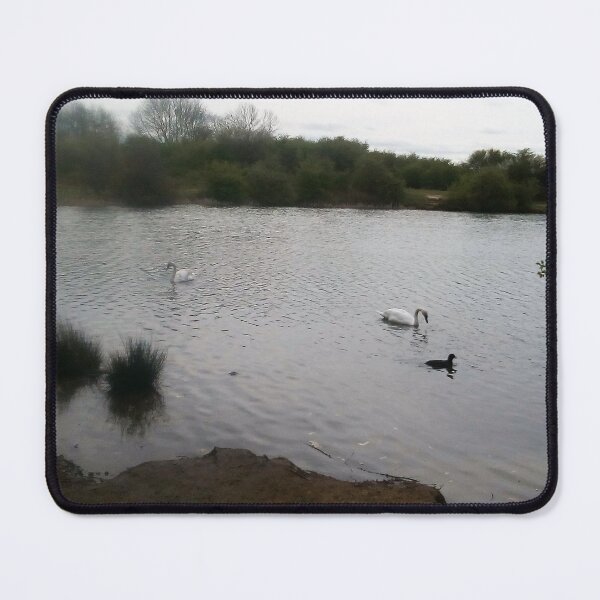 Item preview, Volksbolts/KABFA Designs, Ensor Pool Nuneaton, Swans, Miss K L Slomczynski designed and sold by KABFA Designs.