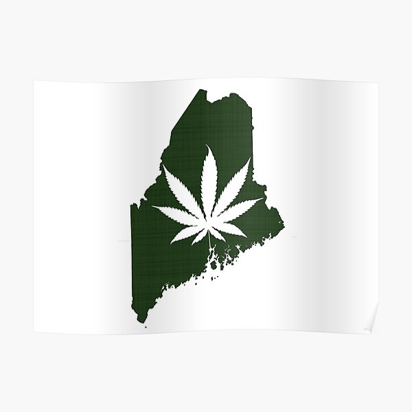 Marijuana Leaf Maine Poster