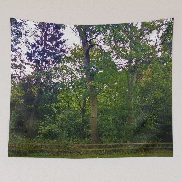 Item preview, #178 |☼| Fenced-Off Trees (Elsham Hall, Gardens & Country Park) designed and sold by Naean H.F. (Nez Man).