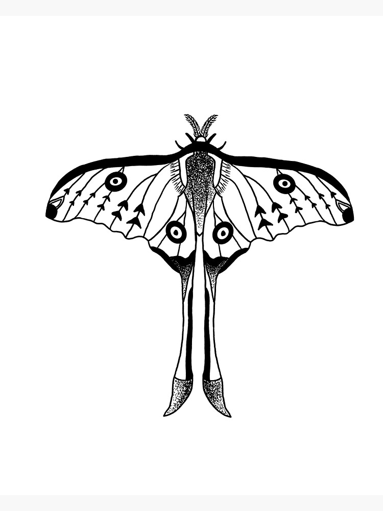 Flew like a moth to you sunlight-Dark Academia Design Sticker for Sale by  ninacollages