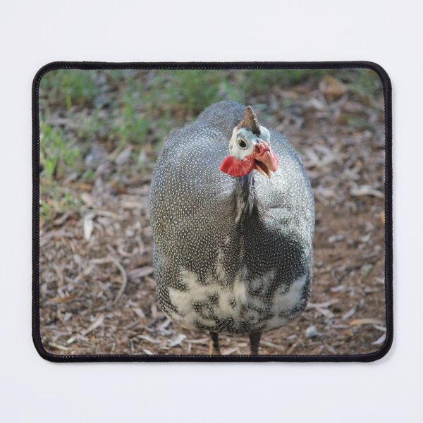 Item preview, guinea fowl designed and sold by ljdewet.