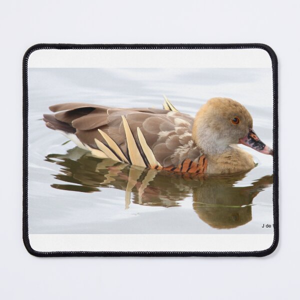 Item preview, Beautiful duck designed and sold by ljdewet.