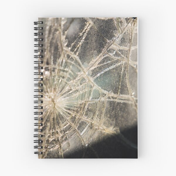 Item preview, Old Cracked Windshield designed and sold by Allen Penton.