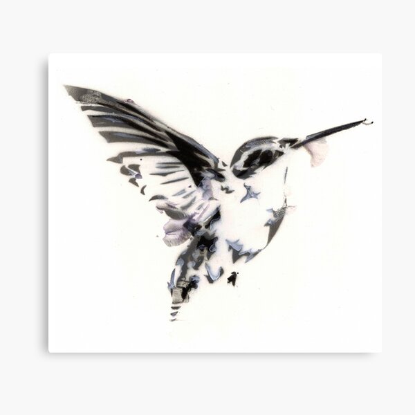 humming bird Canvas Print