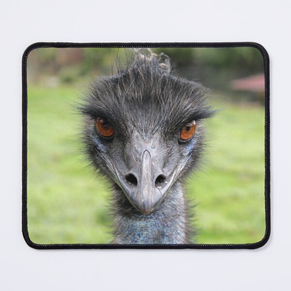 Item preview, I Dare You To Take One Step Closer. designed and sold by LeanneAllen.