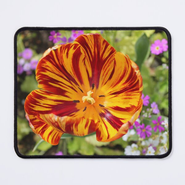 Item preview, Morning Glory designed and sold by LeanneAllen.