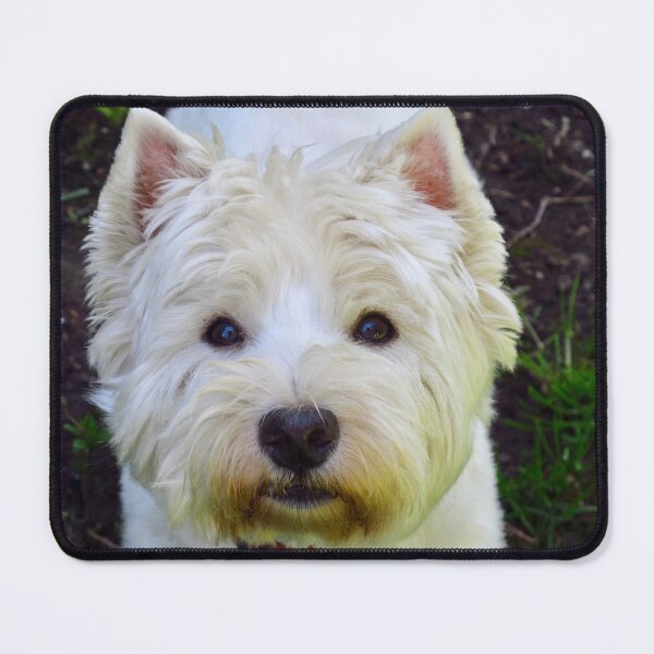 Item preview, For the love of Westies designed and sold by MarianBendeth.