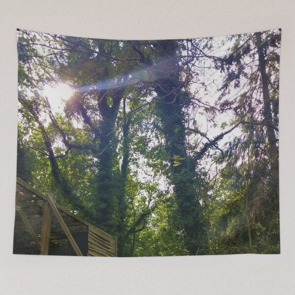 Item preview, #179 |☼| Shining Through Trees - Shot 1 (Elsham Hall, Gardens & Country Park) designed and sold by Naean H.F. (Nez Man).