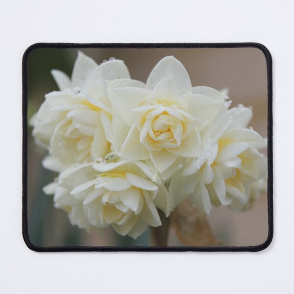 Item preview, 1st Flowers Of Spring designed and sold by LeanneAllen.