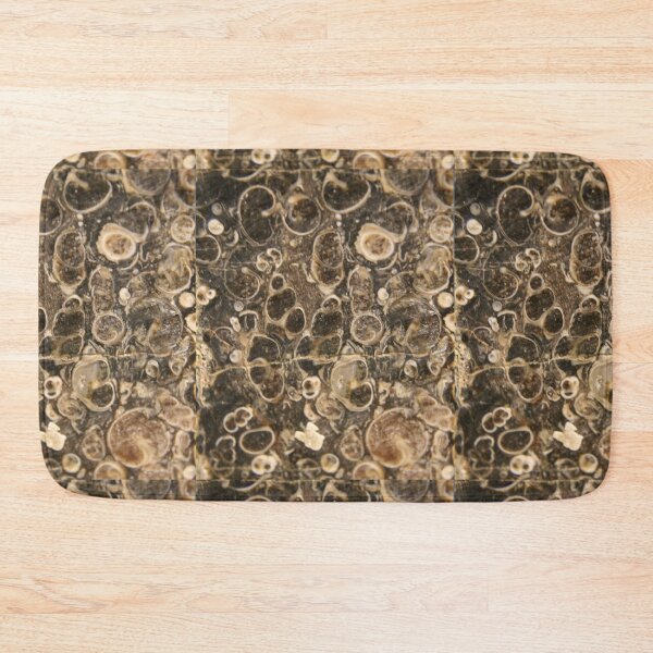Item preview, Fossilized shell photography designed and sold by themuseinspired.