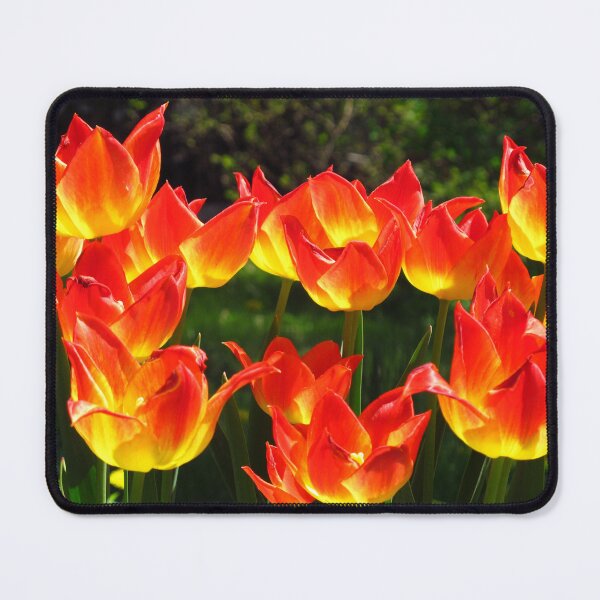 Item preview, Tulips aflame designed and sold by MarianBendeth.