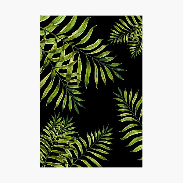 Tropical Night - Greenery On Black Photographic Print