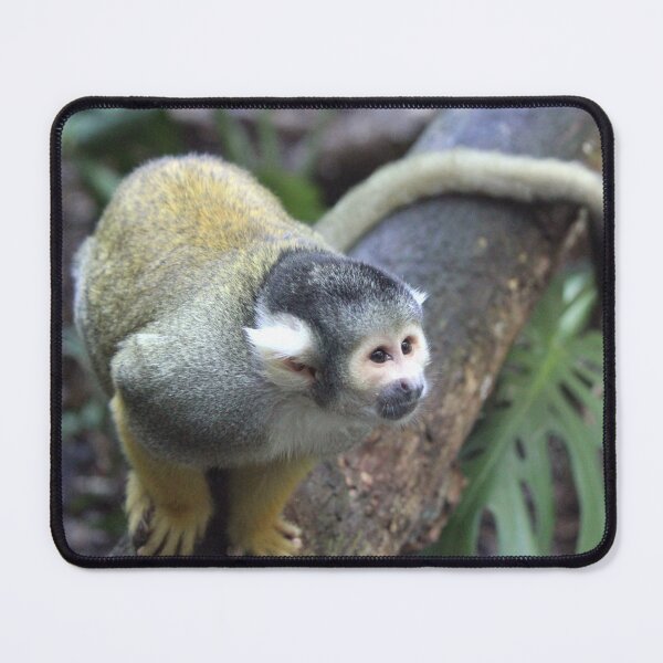Item preview, Spider Monkey designed and sold by LeanneAllen.