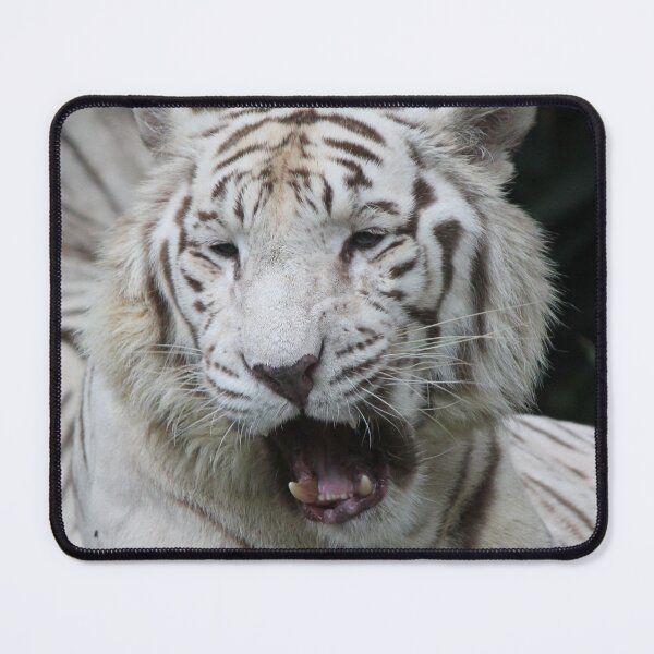 Item preview, Ha Ha! That's Funny! designed and sold by LeanneAllen.