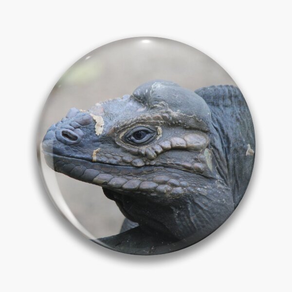 Item preview, Rhino Iguana designed and sold by LeanneAllen.